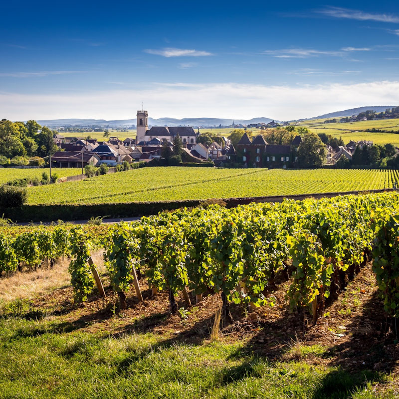 Rhone Alps & Burgundy Wine - 5 Days